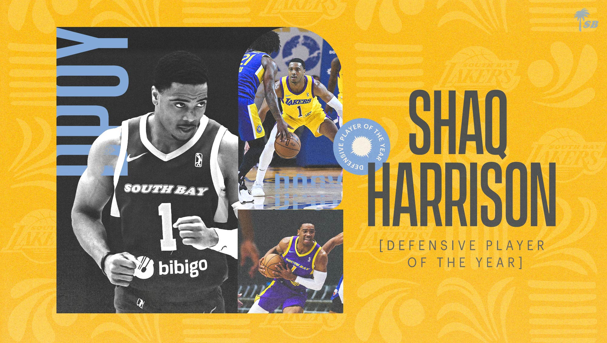Shaq Harrison voted 2023-24 NBA G League Defensive Player of the Year