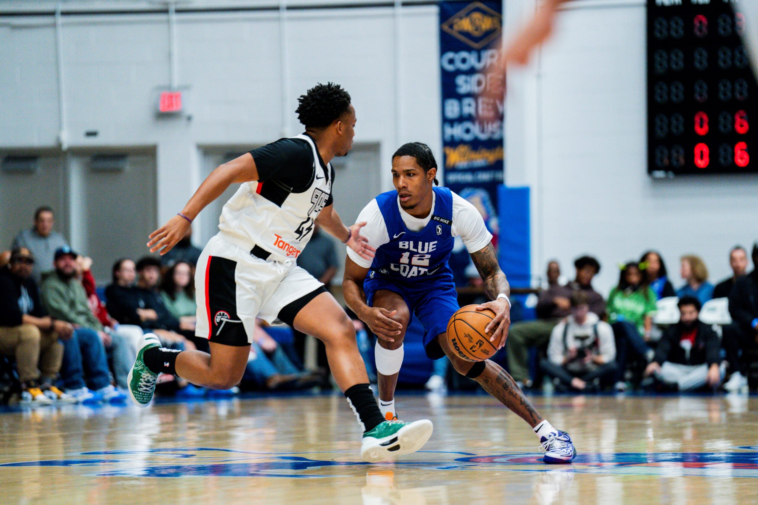 Blue Coats vs. Raptors