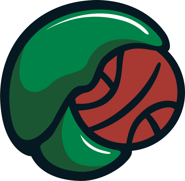 Maine Celtics Secondary Logo