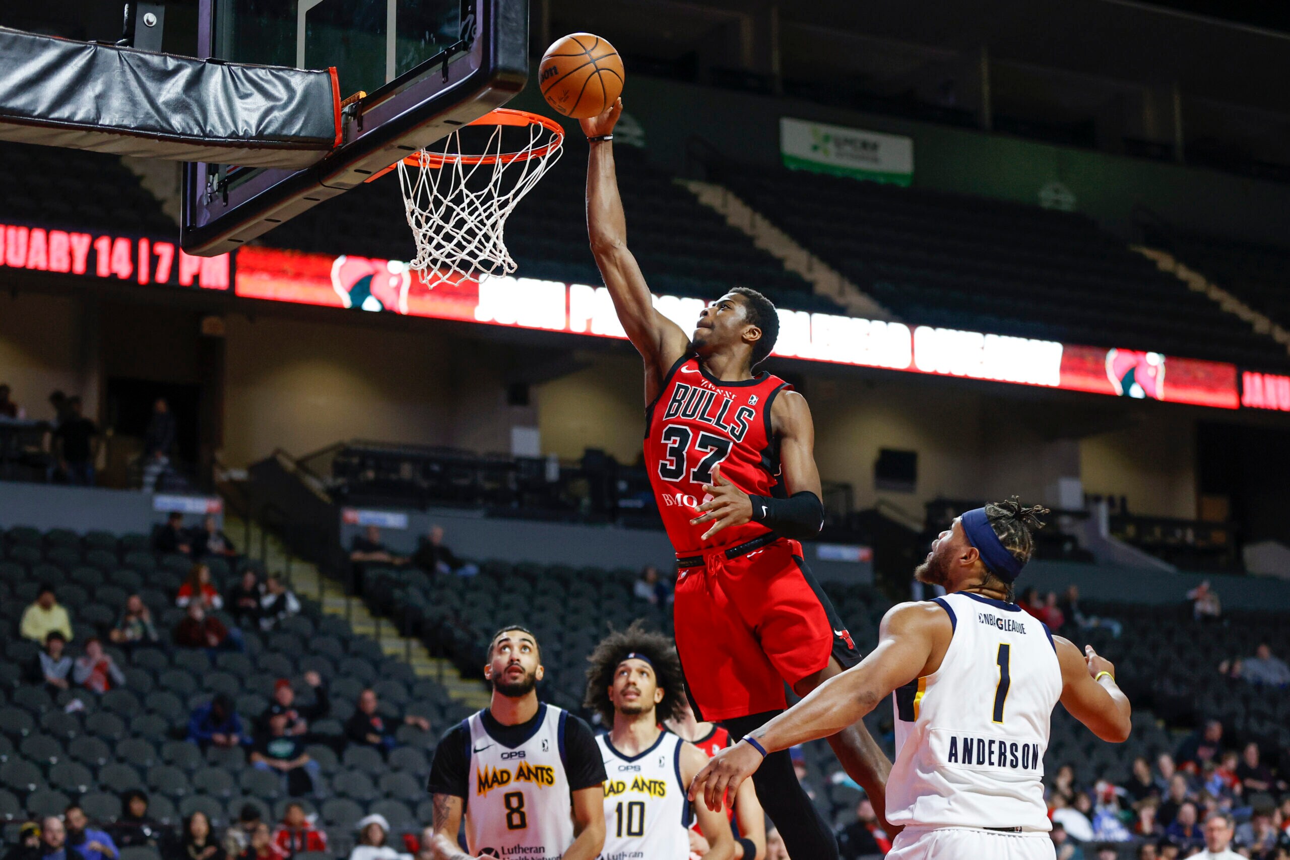 Windy City Bulls Bounce Back with Victory Over Fort Wayne Mad Ants