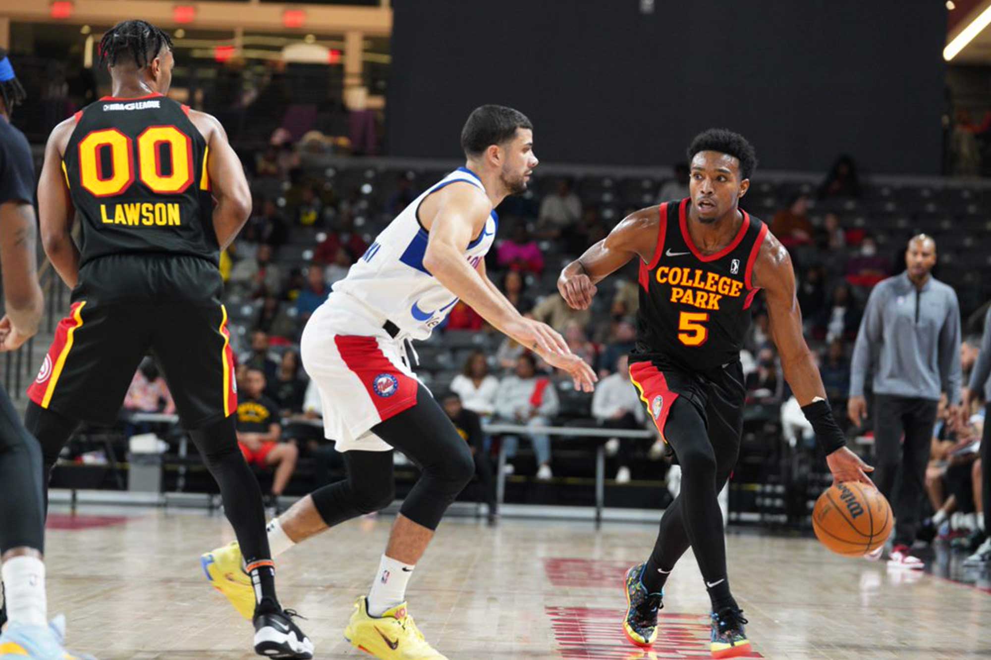 Brandon Williams College Park Skyhawks Long Island Nets